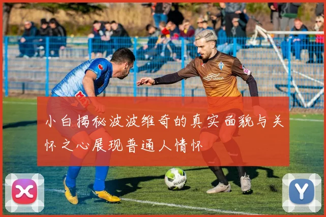 小白揭秘波波维奇的真实面貌与关怀之心展现普通人情怀