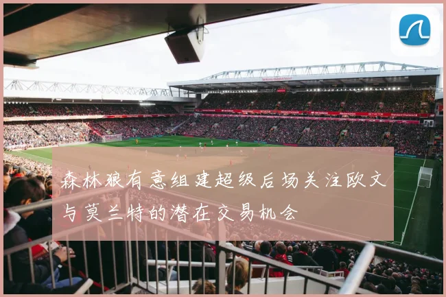 森林狼有意组建超级后场关注欧文与莫兰特的潜在交易机会